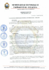 Vista preliminar de documento ORDENANZA MUNICIPAL N° 005-2023-MPPC-AYAC QUE INCORPORA LOS 24 PROCEDIMIENTOS ADMINISTRATIVOS ESTANDARIZADOS  AL TUPA