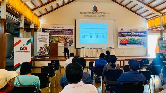 La Municipalidad Provincial de Mariscal Nieto, desarrolló este 22 de marzo el taller de capacitación: "Fertilización, nutrición foliar y programación de riego en el cultivo de sandías injertadas" en las instalaciones del Auditorio del Centro Cultural Santo Domingo.