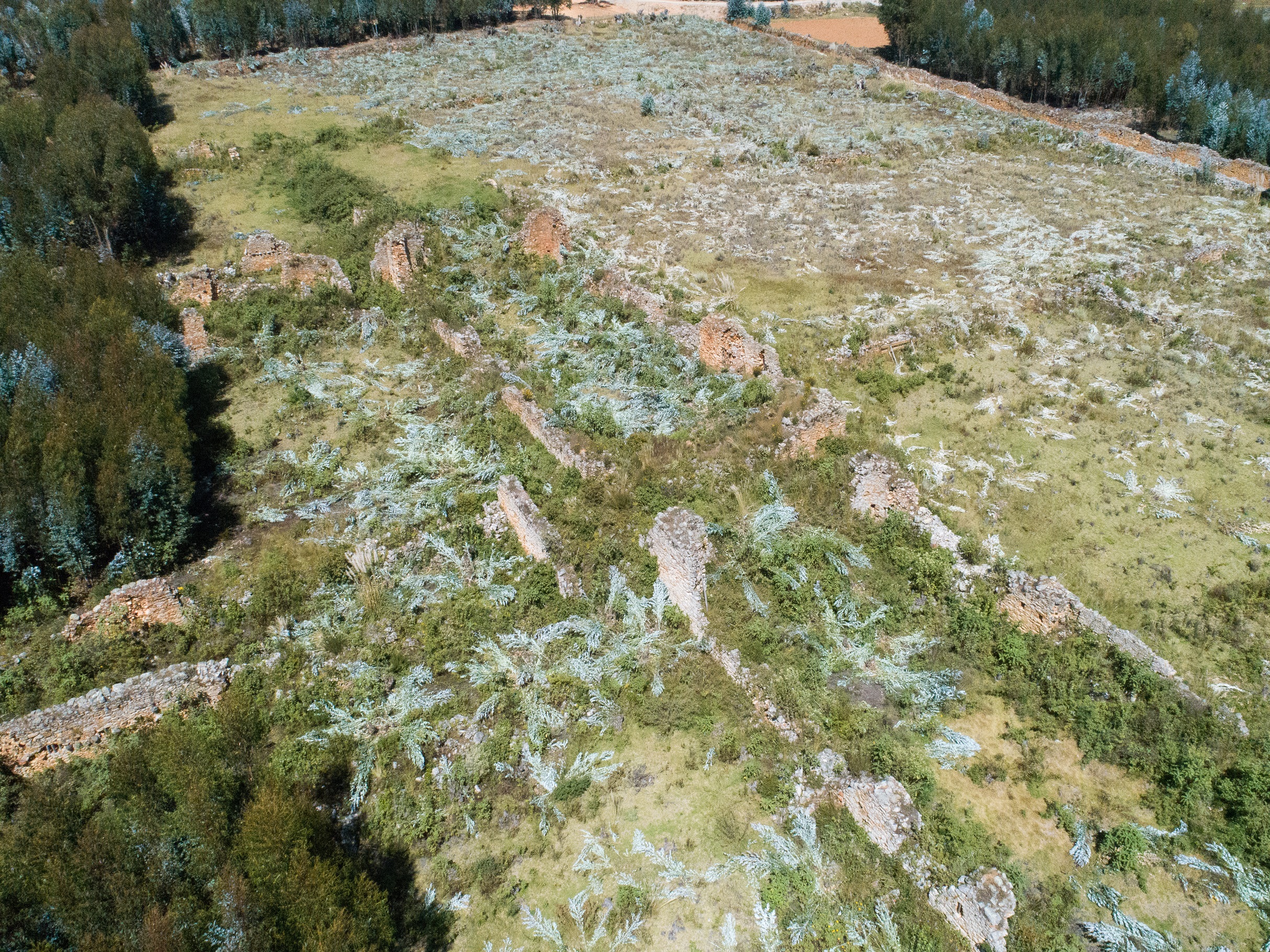 Fotografía aérea de las areas liberdas de vegetación