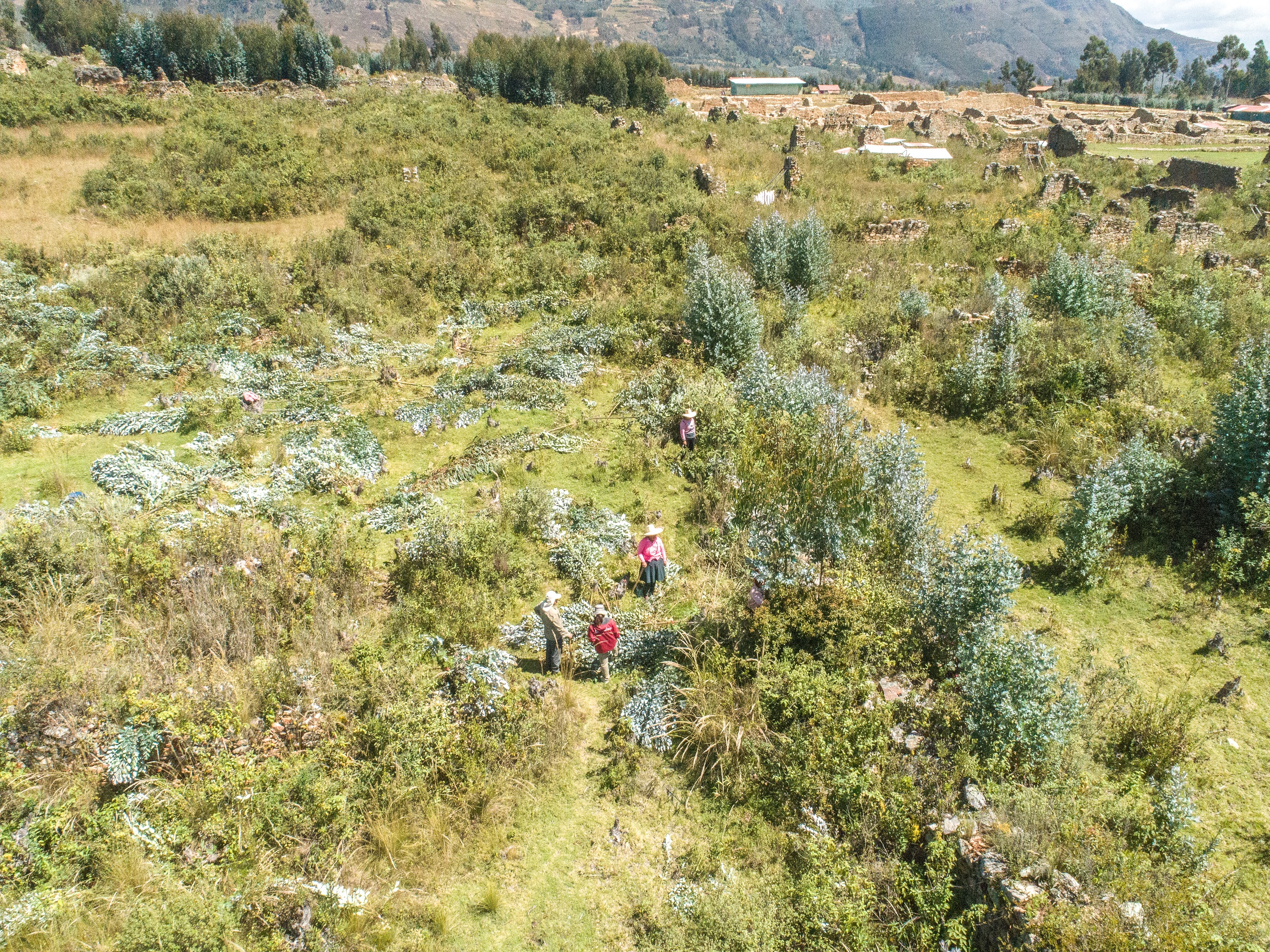 Servidores de la unidad ejecutora realizando actividades de mantenimiento