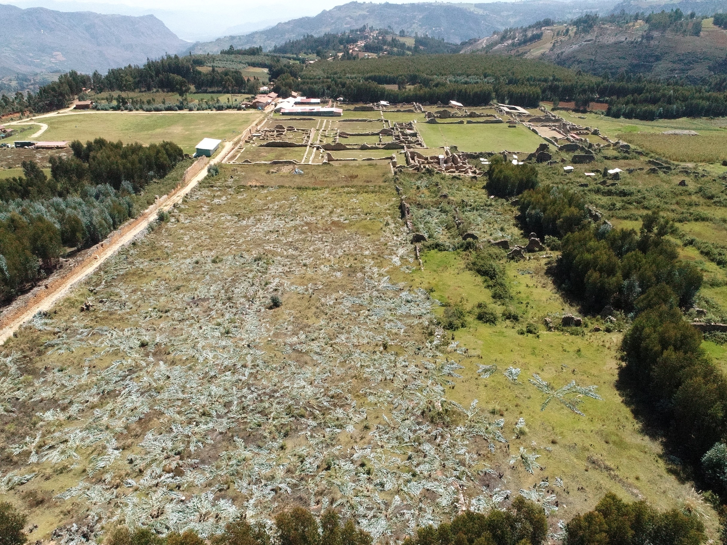 Fotografía aérea de las areas liberdas de vegetación