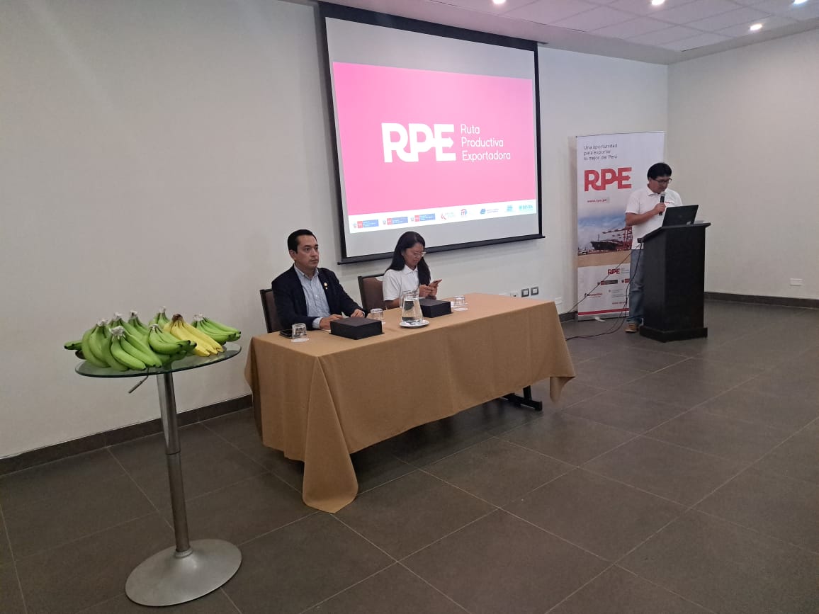 RPE PIURA I