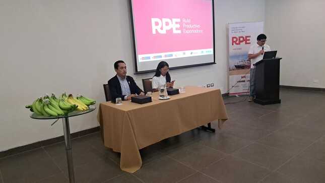 RPE PIURA I