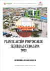 Vista preliminar de documento Plan de Accion provincial SC
