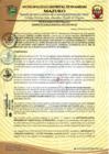 Vista preliminar de documento ACM N°013-2023
