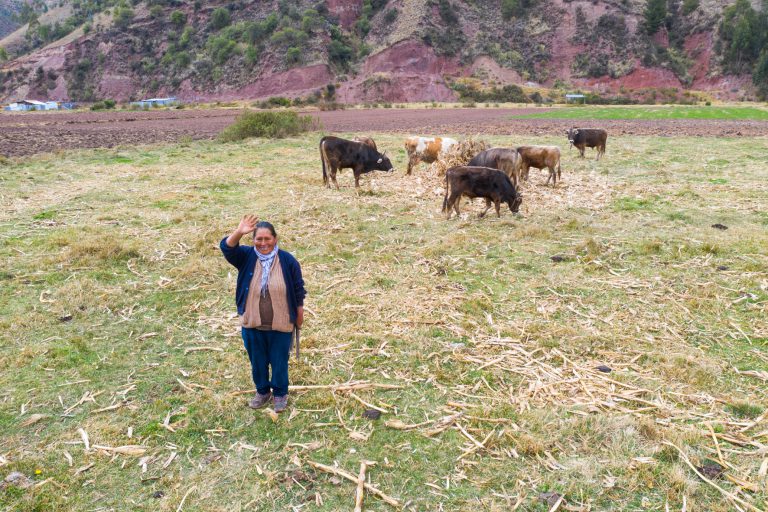 Agrobanco financia con más de S/ 500 millones a pequeños productores agropecuarios