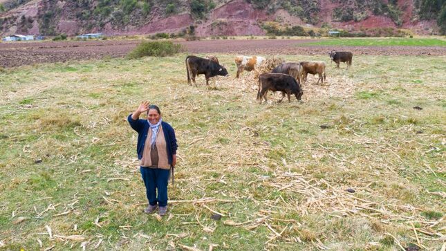 Agrobanco financia con más de S/ 500 millones a pequeños productores agropecuarios