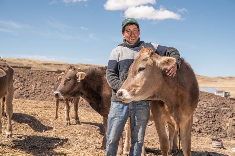 Agrobanco financió más de 41 mil hectáreas de cultivo en los primeros meses del 2022