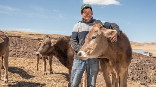 Agrobanco financió más de 41 mil hectáreas de cultivo en los primeros meses del 2022