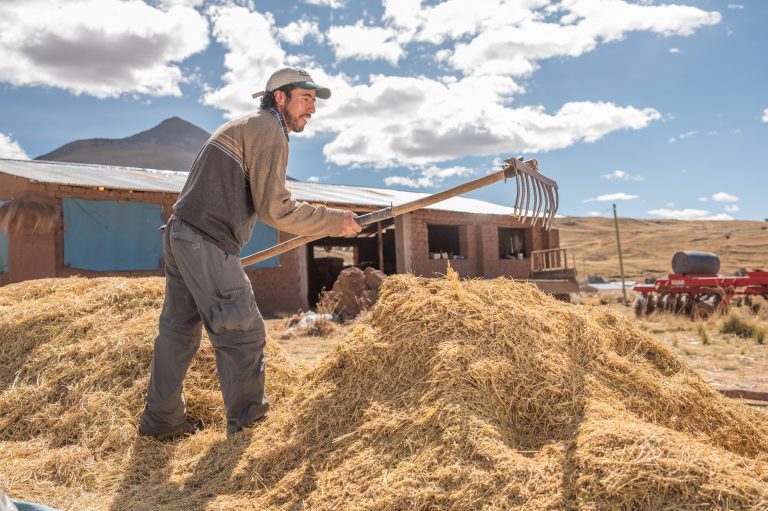 Agrobanco cierra primer trimestre 2022 con utilidad y crecimiento de su cartera