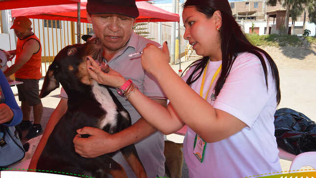 Nueva Jornada Veterinaria