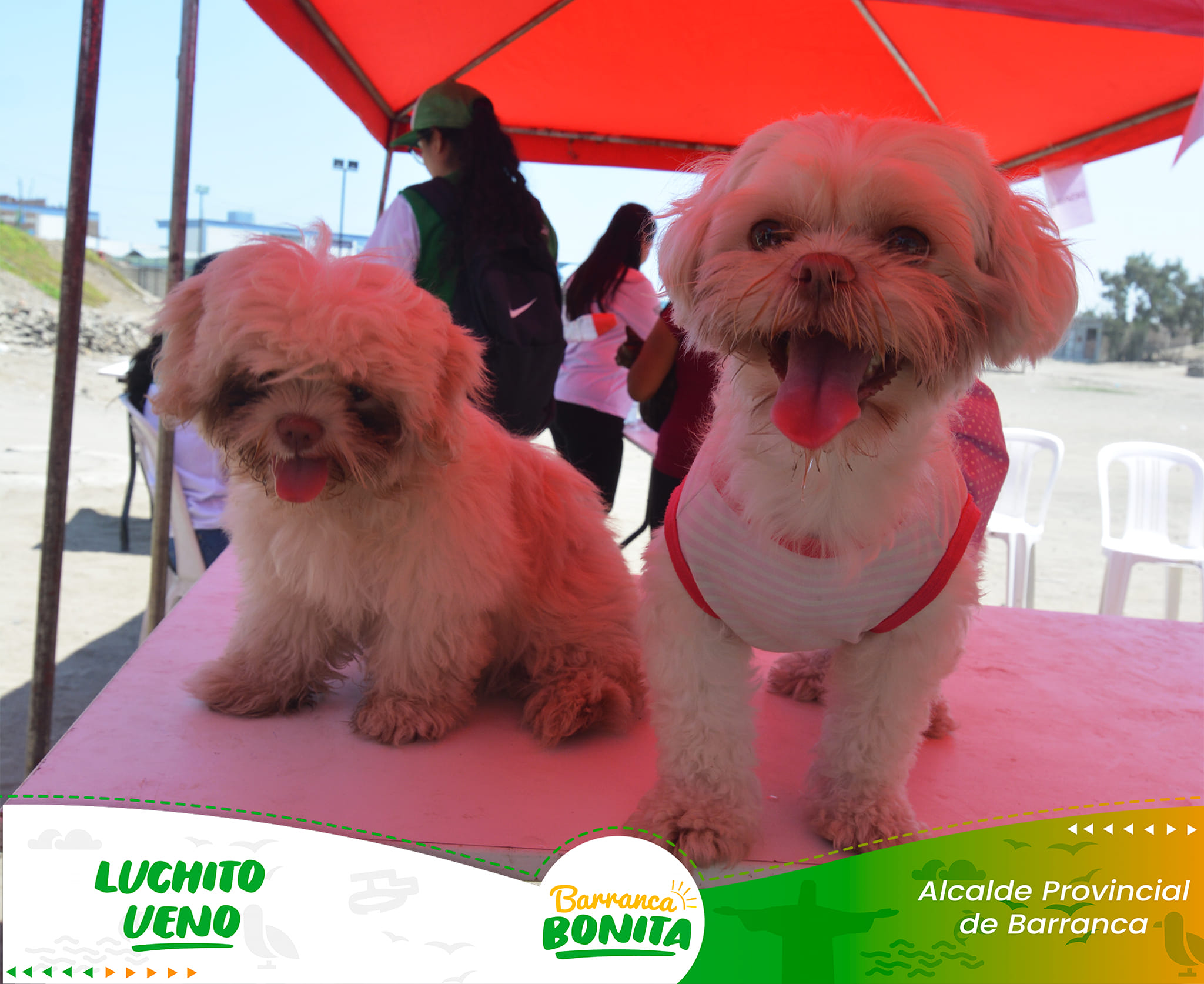 Nueva Jornada Veterinaria