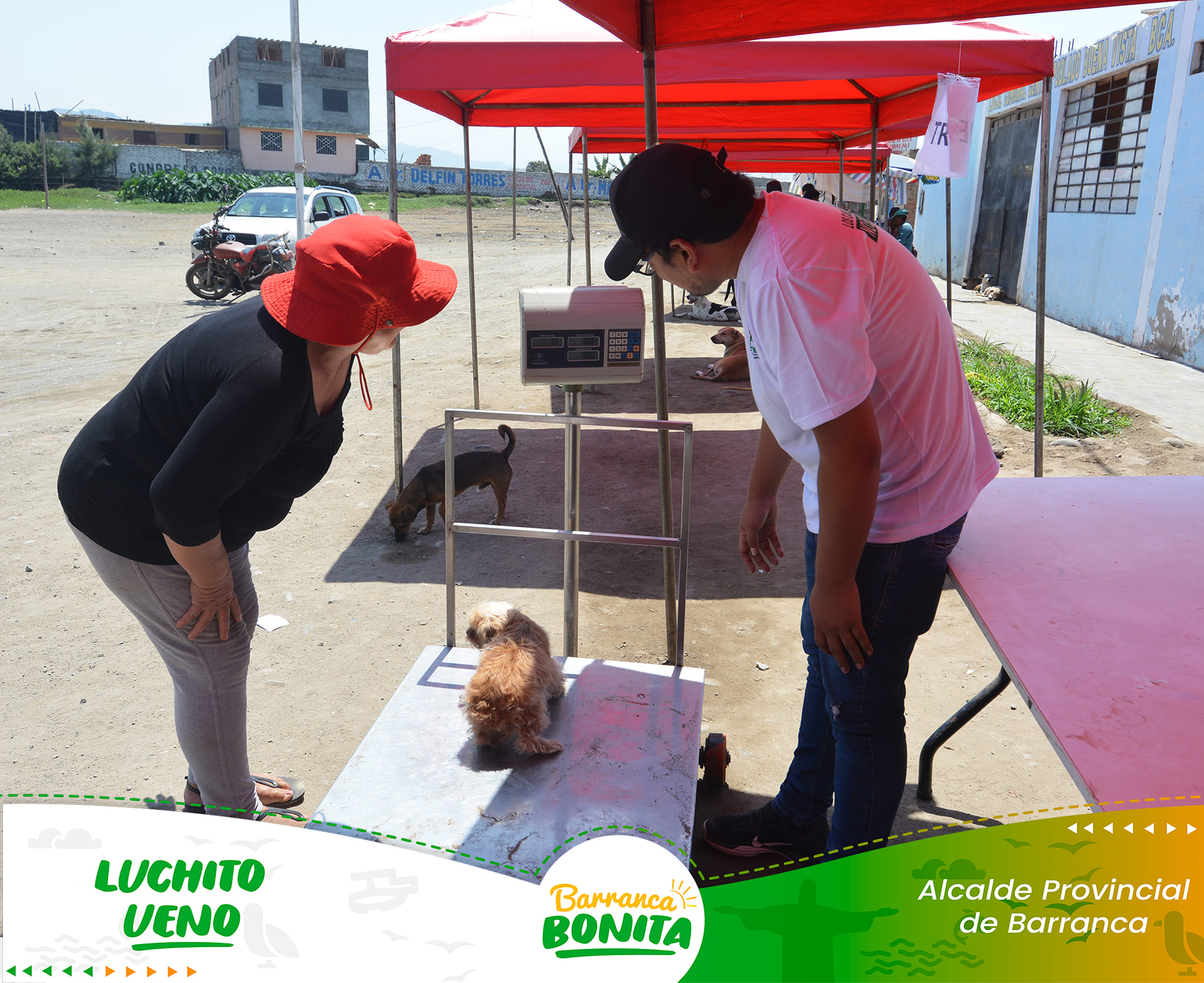 Nueva Jornada Veterinaria