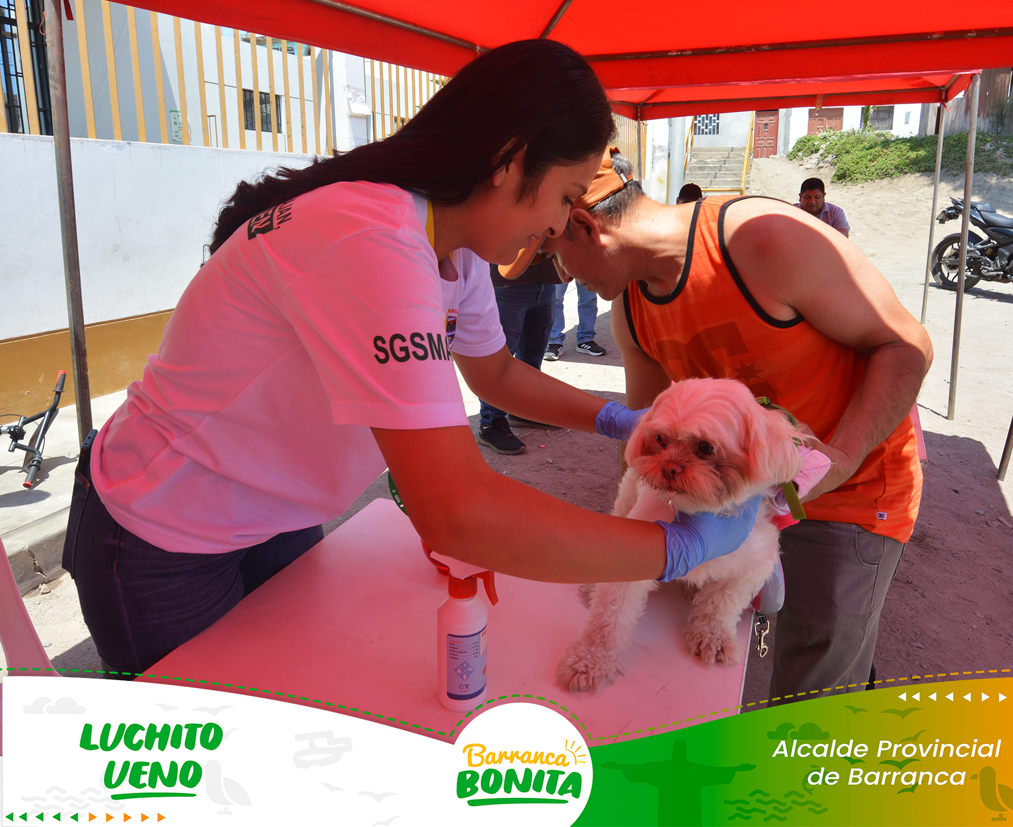 Nueva Jornada Veterinaria