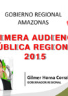 Vista preliminar de documento Resumen Primera Audiencia 2015