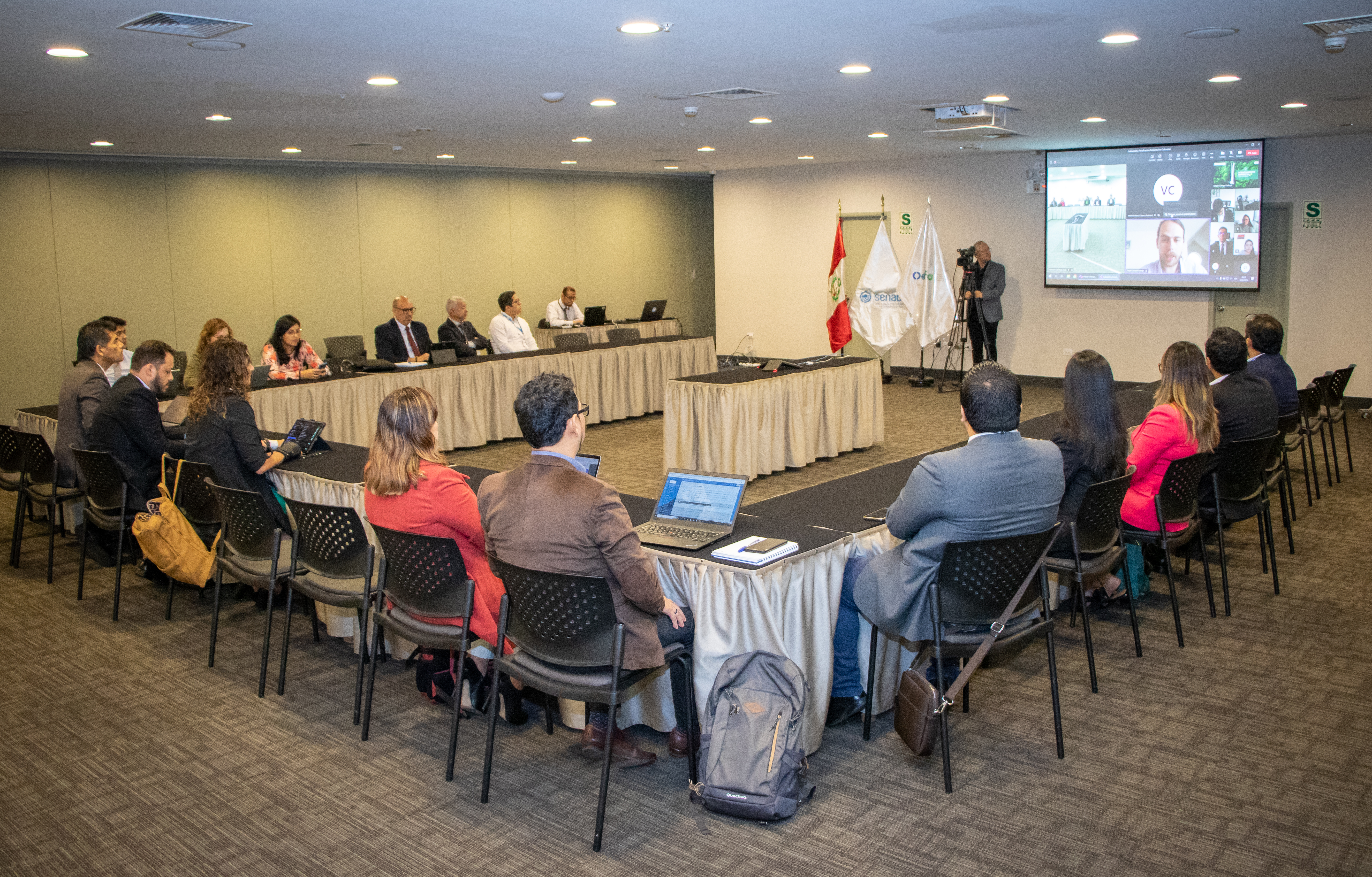 OEFA y Senace participaron en mesa técnica internacional sobre evaluación y fiscalización ambiental