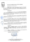 Vista preliminar de documento Resolución de Gerencia Municipal Nº 047-2017-GM/MVES49Poo