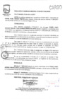 Vista preliminar de documento Resolución de Gerencia Municipal Nº 119-2017-GM/MVESXkI71