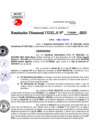 Vista preliminar de documento Resolución Directoral N° 003166-2023