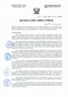 Vista preliminar de documento Resolución Directorial N°017-2022-DIRESA