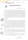 Vista preliminar de documento Resolución Directoral 241-2019MaJR3