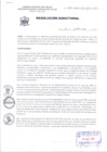 Vista preliminar de documento Resolución Directoral 294-20195KOoz