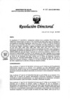 Vista preliminar de documento RD N° 088-2023-DG-INMP/MINSA