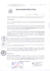 Vista preliminar de documento Resolución Directoral 038-2020bR1pA