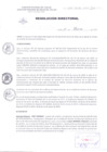 Vista preliminar de documento Resolución Directoral 040-20200W6gJ