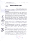 Vista preliminar de documento Resolución Directoral 039-2020FsWyj