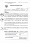 Vista preliminar de documento Resolución Directoral 048-20200MX5h