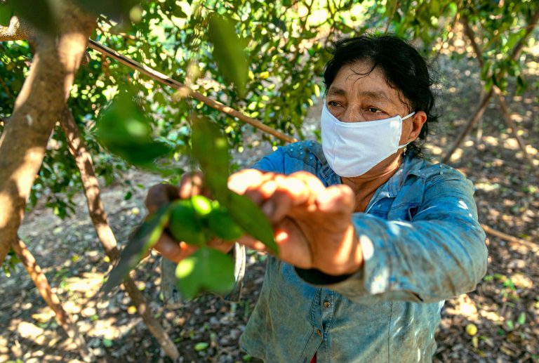 Agrobanco otorga más de S/ 257 millones en créditos a 23 mil mujeres rurales