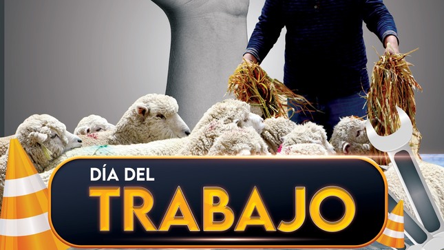 Dia del trabajo