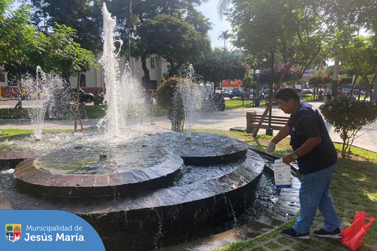 La Subgerencia de Sanidad junto a responsables del área de salud ambiental del Centro de Salud de Jesús María, vienen realizando inspecciones en distintos espacios públicos del distrito, con el fin de identificar y controlar la presencia de los 🦟 zancudos transmisores del dengue.