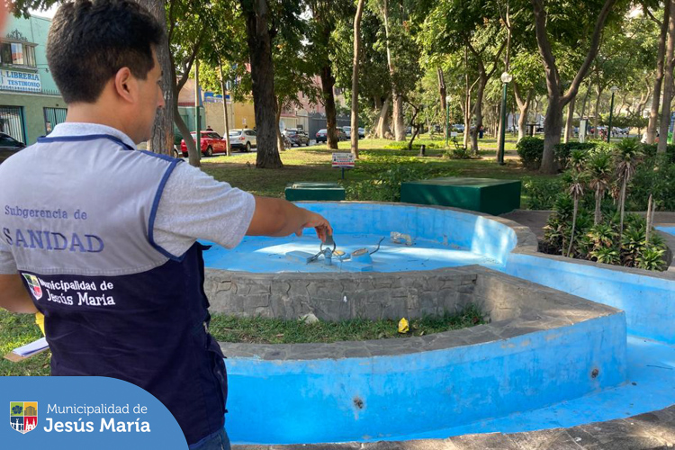 La Subgerencia de Sanidad junto a responsables del área de salud ambiental del Centro de Salud de Jesús María, vienen realizando inspecciones en distintos espacios públicos del distrito, con el fin de identificar y controlar la presencia de los 🦟 zancudos transmisores del dengue.