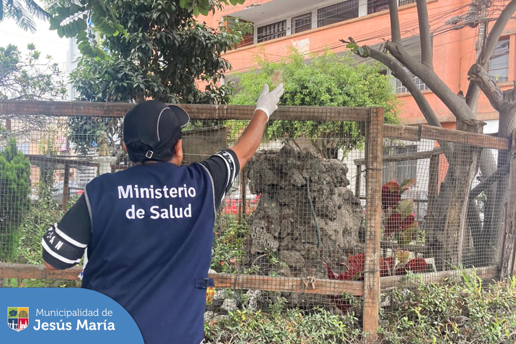 La Subgerencia de Sanidad junto a responsables del área de salud ambiental del Centro de Salud de Jesús María, vienen realizando inspecciones en distintos espacios públicos del distrito, con el fin de identificar y controlar la presencia de los 🦟 zancudos transmisores del dengue.