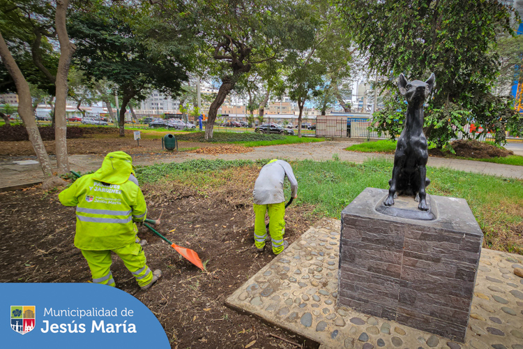 Nuestros especialistas realizan la preparación del suelo para posteriormente colocar gras 🌱