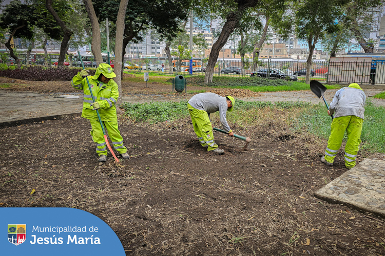 Nuestros especialistas realizan la preparación del suelo para posteriormente colocar gras 🌱
