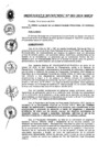 Vista preliminar de documento Ordenanza Municipal N° 003-2019-MPCP