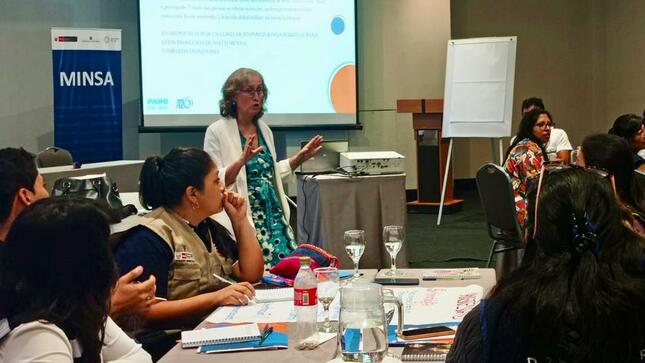 Minsa capacita a profesionales de salud mental de regiones afectadas por lluvias e inundaciones 