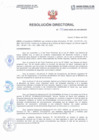 Vista preliminar de documento Resolución Directorial N°033-2022-DIRESA