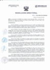 Vista preliminar de documento Resolución Directorial N°040-2022-DIRESA