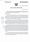 Vista preliminar de documento Resolución Directorial N°041-2022-DIRESA