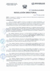 Vista preliminar de documento Resolución Directorial N°042-2022-DIRESA
