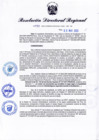 Vista preliminar de documento RDR-099-2023