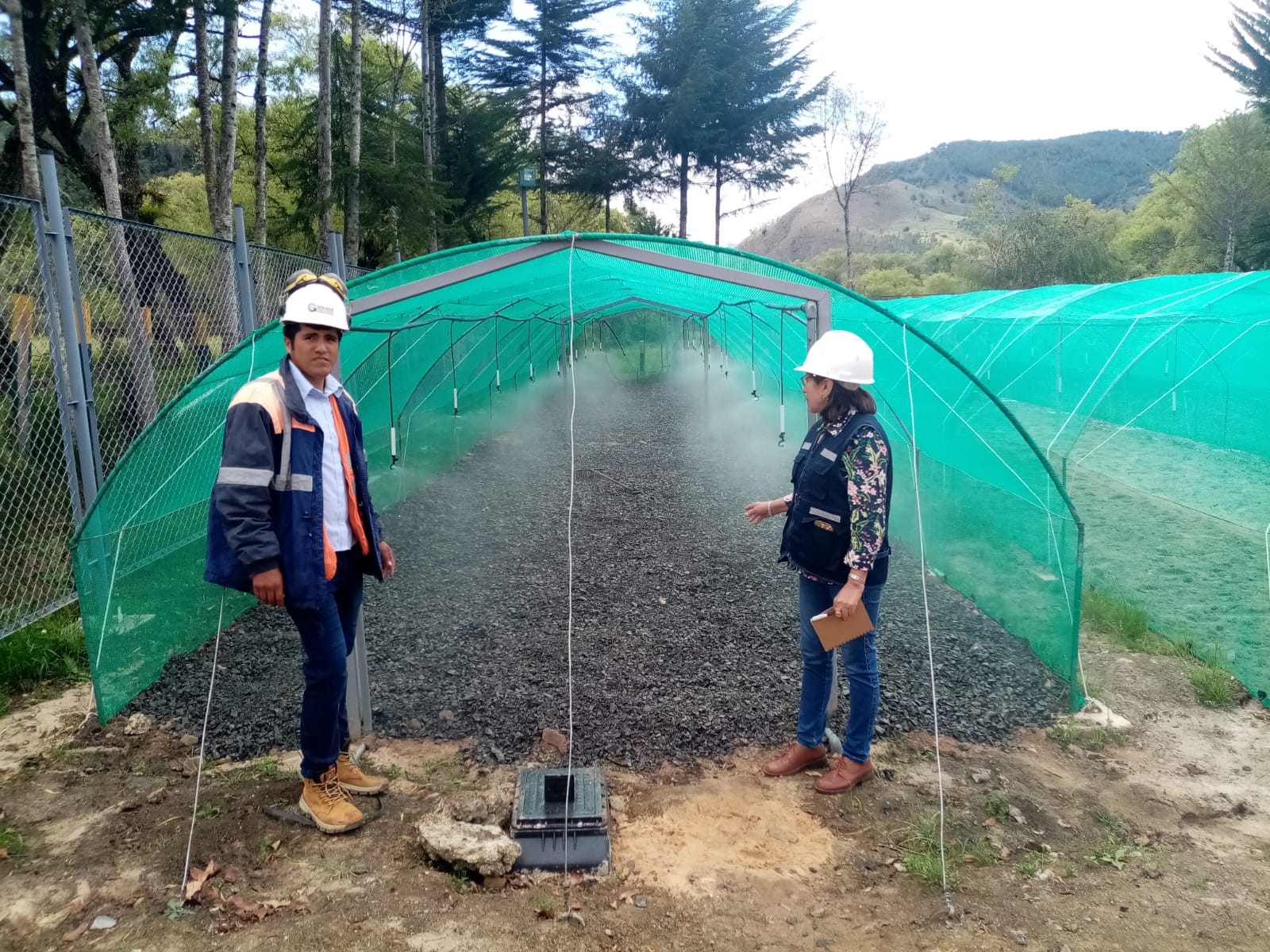 Vivero forestal en Conchán