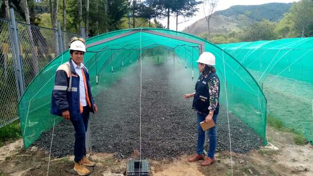 Vivero forestal en Conchán