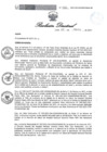 Vista preliminar de documento Resolucion Directoral 030ZV4t5