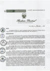 Vista preliminar de documento Resolucion Directoral 0310WgeF