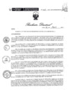 Vista preliminar de documento Resolucion Directoral 065wGWzN